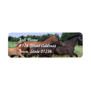 Wild Paard Retouradres Mailing Label