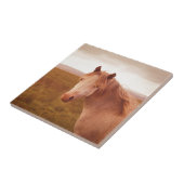  wild paard tegeltje (Zijkant)