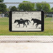 WILD PAARD VAN de Banner van UTAH MET (Insitu)