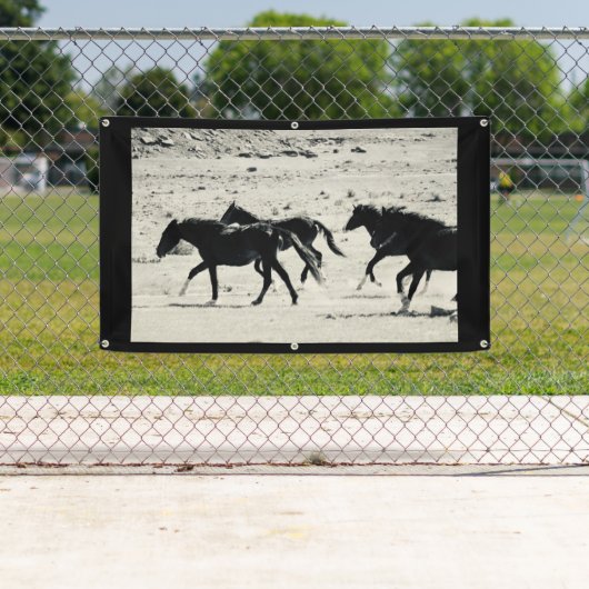 WILD PAARD VAN de Banner van UTAH MET (Insitu)