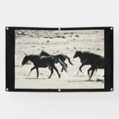 WILD PAARD VAN de Banner van UTAH MET (Horizontaal)