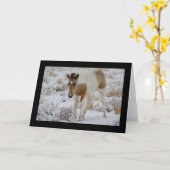 WILD PAARD VAN HET WENSKAART VAN ONAQUI VAN HET KAART (Gele Bloem)