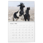 Wild Paard Washakie Kalender (Jan 2026)