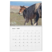 Wild Paard Washakie Kalender (Mar 2027)