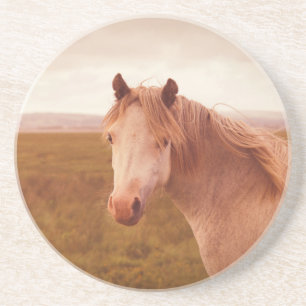 wild paard zandsteen onderzetter