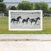WILD PAARDEN VAN de Banner van UTAH MET (Insitu)