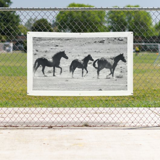 WILD PAARDEN VAN de Banner van UTAH MET (Insitu)