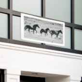 WILD PAARDEN VAN de Banner van UTAH MET (Buitenkant Gebouw)