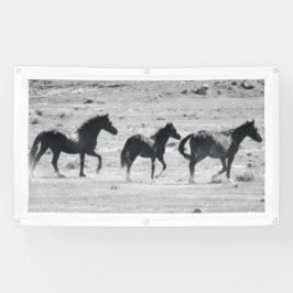 WILD PAARDEN VAN de Banner van UTAH MET