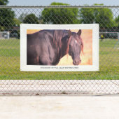 WILD PAARDEN VAN de Banner van UTAH MET (Insitu)