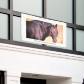 WILD PAARDEN VAN de Banner van UTAH MET (Buitenkant Gebouw)