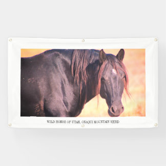 WILD PAARDEN VAN de Banner van UTAH MET