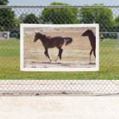 WILD PAARDEN VAN de Banner W/GROMMETS van UTAH (Insitu)
