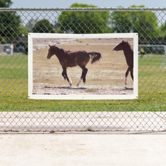 WILD PAARDEN VAN de Banner W/GROMMETS van UTAH (Insitu)