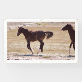WILD PAARDEN VAN de Banner W/GROMMETS van UTAH