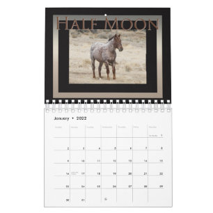 Wild paarden van het Bassin van de Was van het Kalender
