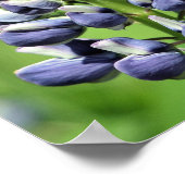 Wild Paarse Lupine Flower Mirror Abstract Poster (Hoek)