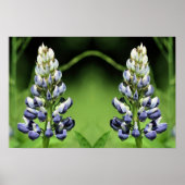 Wild Paarse Lupine Flower Mirror Abstract Poster (Voorkant)