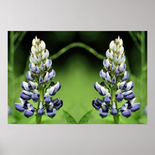 Wild Paarse Lupine Flower Mirror Abstract Poster (Voorkant)