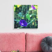 Wild Paarse Morning Glory Flowers Canvas Afdruk (Insitu (Woonkamer))