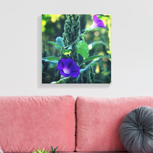 Wild Paarse Morning Glory Flowers Canvas Afdruk (Insitu (Woonkamer))