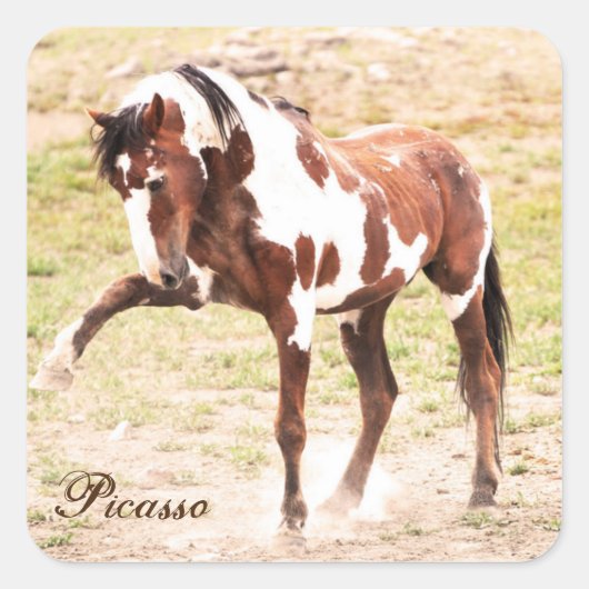 Wild Paint Horse Stallion Picasso-stickers Vierkante Sticker (Voorkant)