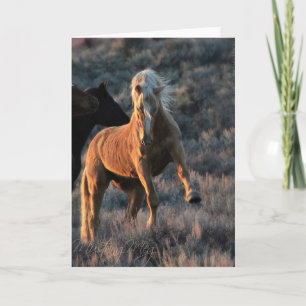 Wild Palomino Hengst Notitiekaarten