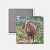 Wild Palomino New Forest Pony & Bracken - Engeland Magneet (Voorkant / Achterkant)