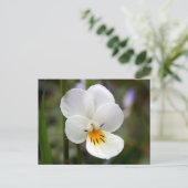 Wild Pansy Briefkaart (Staand voorkant)