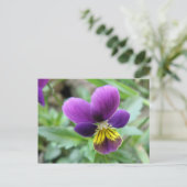 Wild Pansy Briefkaart (Staand voorkant)