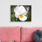 Wild Pansy Canvas afdrukken (Insitu (Woonkamer))