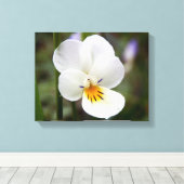 Wild Pansy Canvas afdrukken (Insitu (Houten vloer))