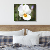 Wild Pansy Canvas afdrukken (Insitu (Slaapkamer))