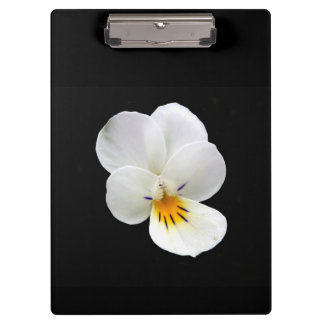 Wild Pansy Clipboard Klembord