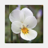 Wild Pansy Magnet (Voorkant)