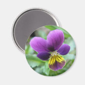 Wild Pansy Magnet (Voorkant / Achterkant)