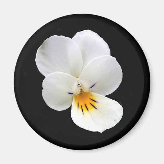 Wild Pansy Magnet (Voorkant)