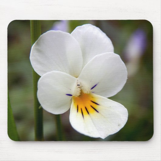 Wild Pansy Mouse Mat Muismat (Voorkant)