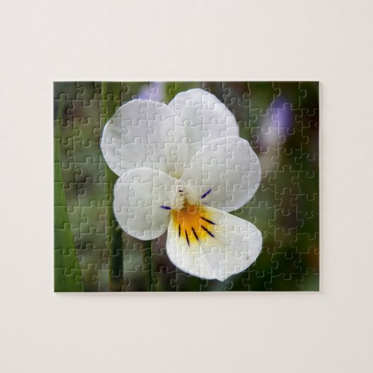 Wild Pansy Photo Puzzle met Gift Box Legpuzzel (Horizontaal)