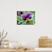 Wild Pansy Print (Keuken)