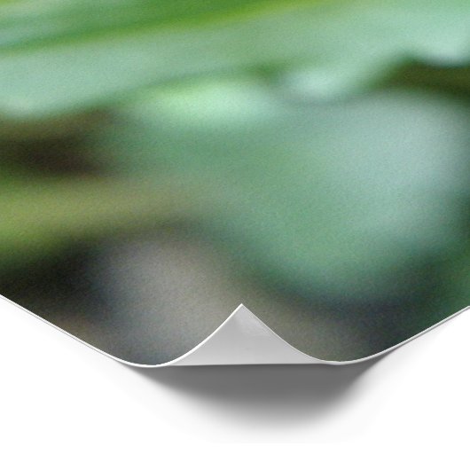 Wild Pansy Print (Hoek)