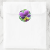 Wild Pansy Sticker (Tas)