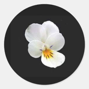 Wild Pansy Stickers