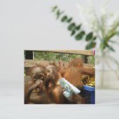 Wild Panty Raid Briefkaart (Staand voorkant)