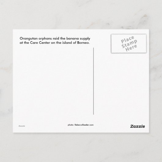 Wild Panty Raid Briefkaart (Achterkant)