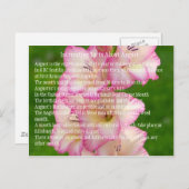 wild-papaver briefkaart (Voorkant / Achterkant)