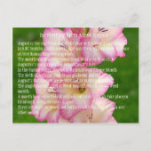 wild-papaver briefkaart (Voorkant)