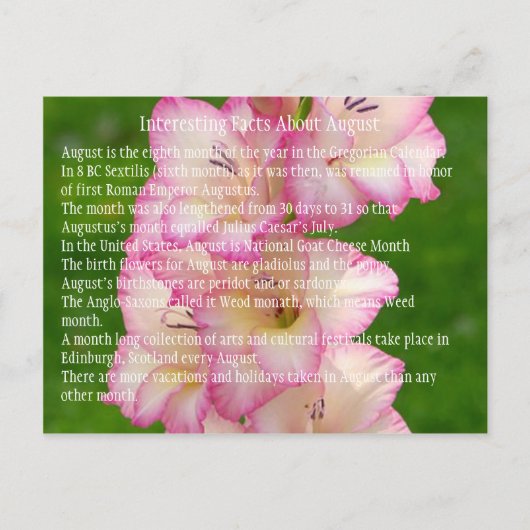 wild-papaver briefkaart (Voorkant)