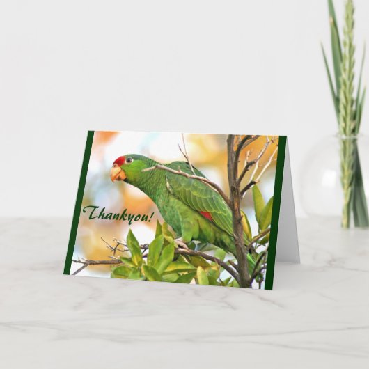 Wild Parrot Thankyou! Card Bedankkaart (Voorkant)