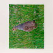 Wild Partridge Legpuzzel (Verticaal)